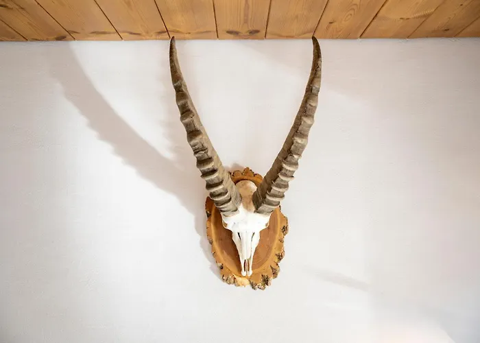 Apartamento Chasa Sulai Scuol