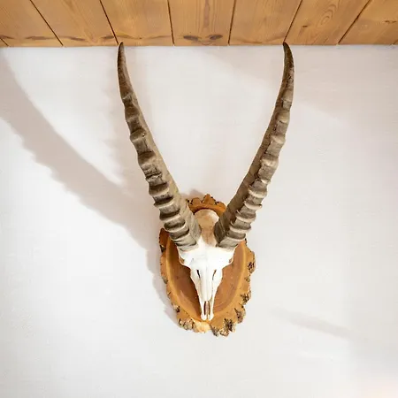 Appartement Chasa Sulai Scuol